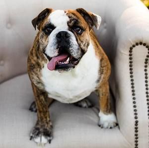 Meet your Posher, Sean